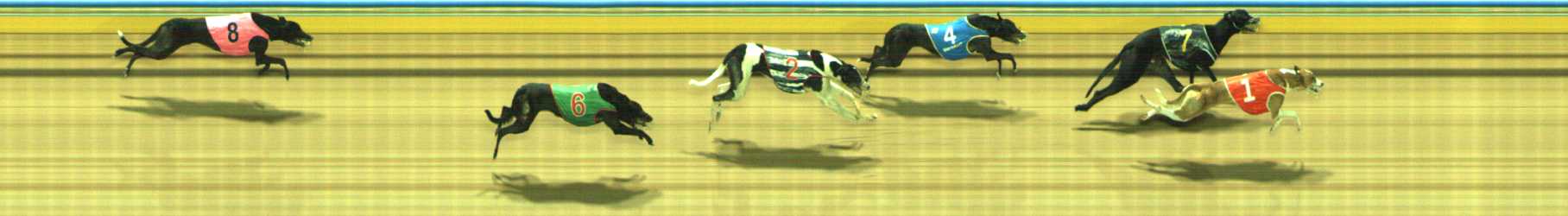 Photo finish for Traralgon Race 12
