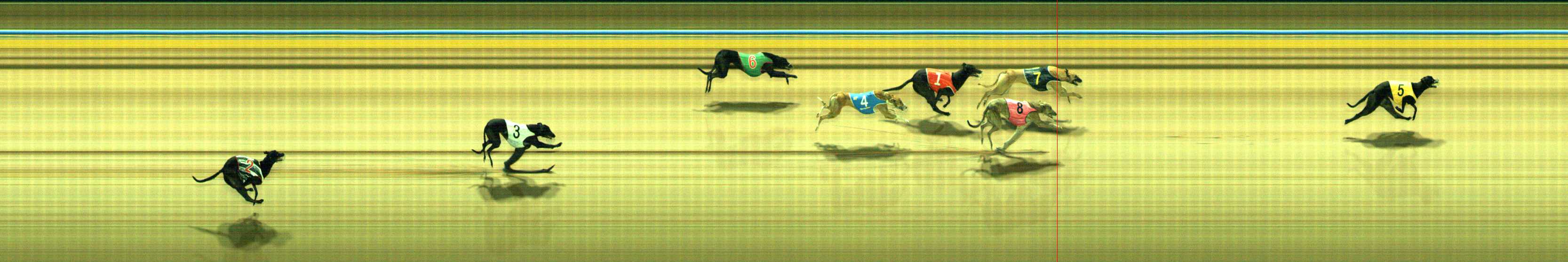 Photo finish for Traralgon Race 1