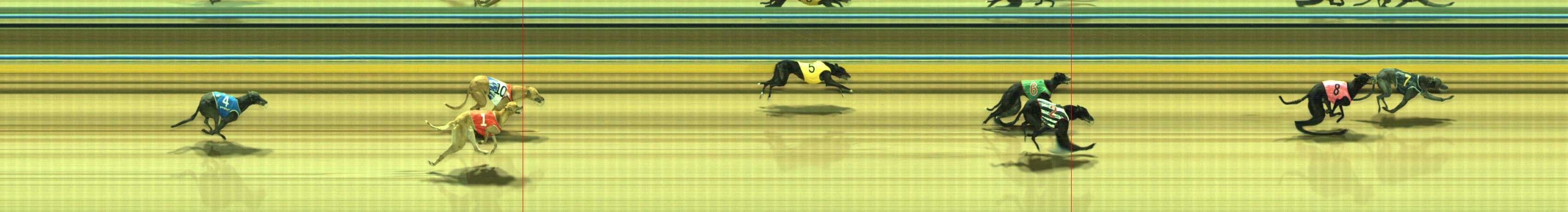 Photo finish for Traralgon Race 2