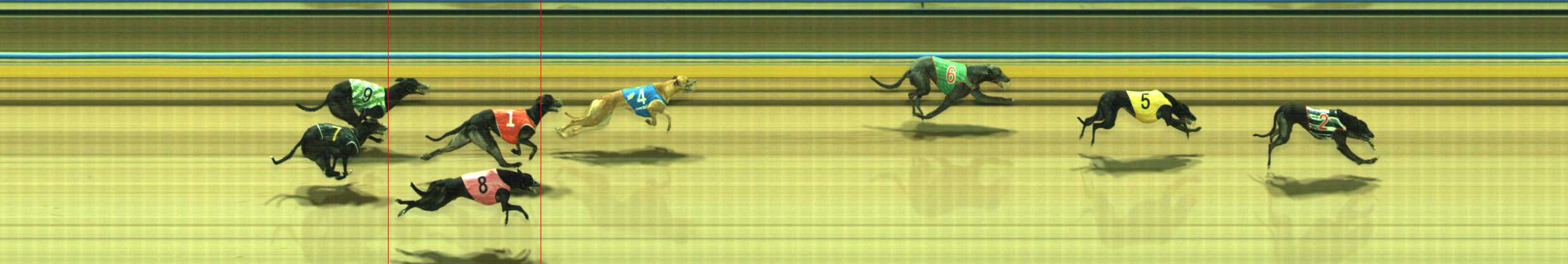 Photo finish for Traralgon Race 3