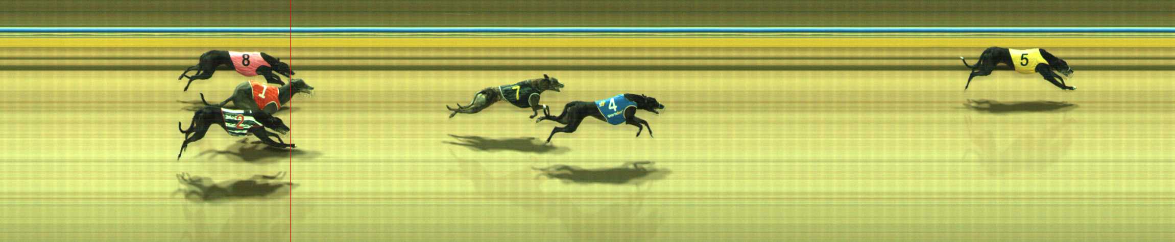 Photo finish for Traralgon Race 4