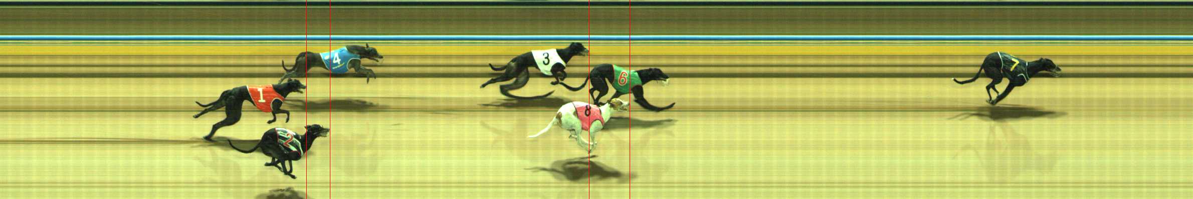 Photo finish for Traralgon Race 5