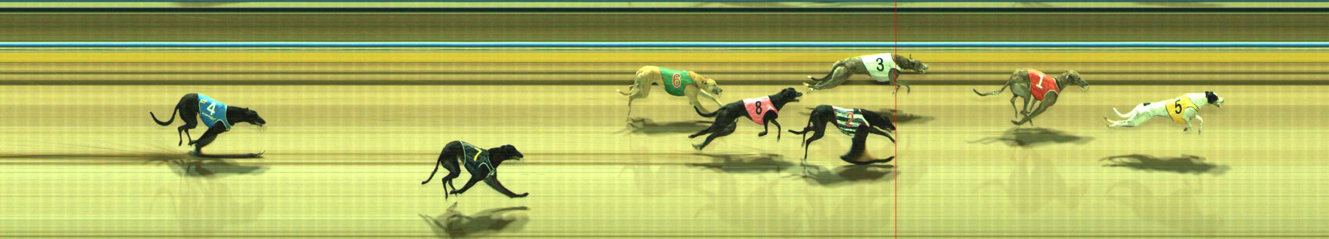 Photo finish for Traralgon Race 6