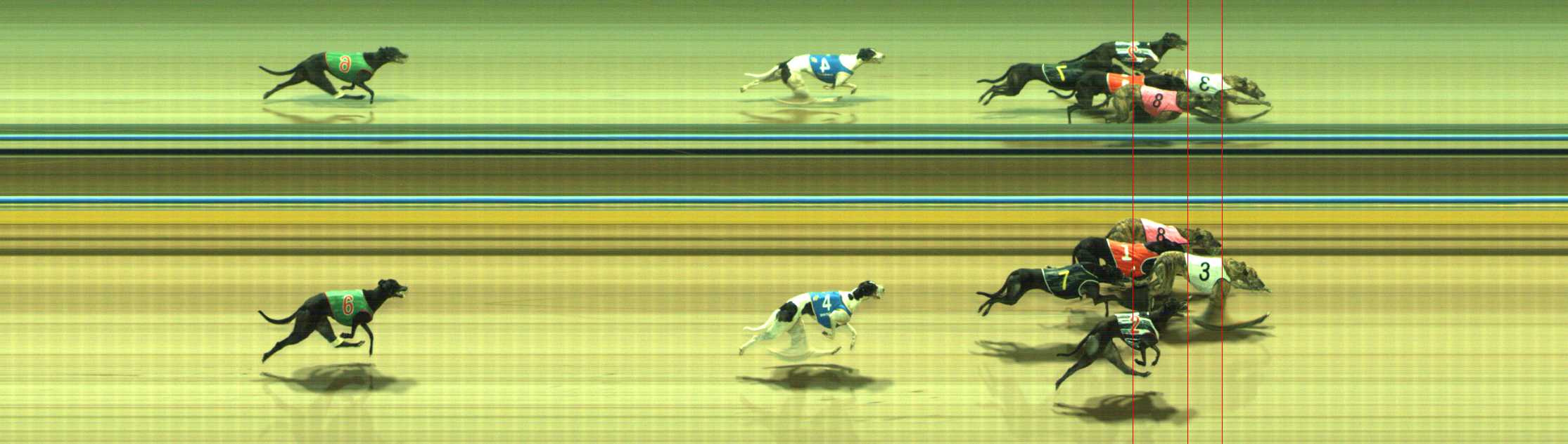 Photo finish for Traralgon Race 7