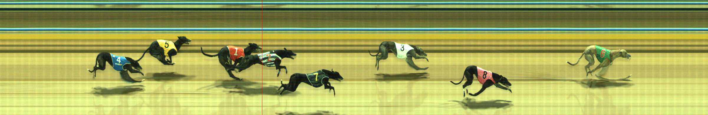Photo finish for Traralgon Race 8