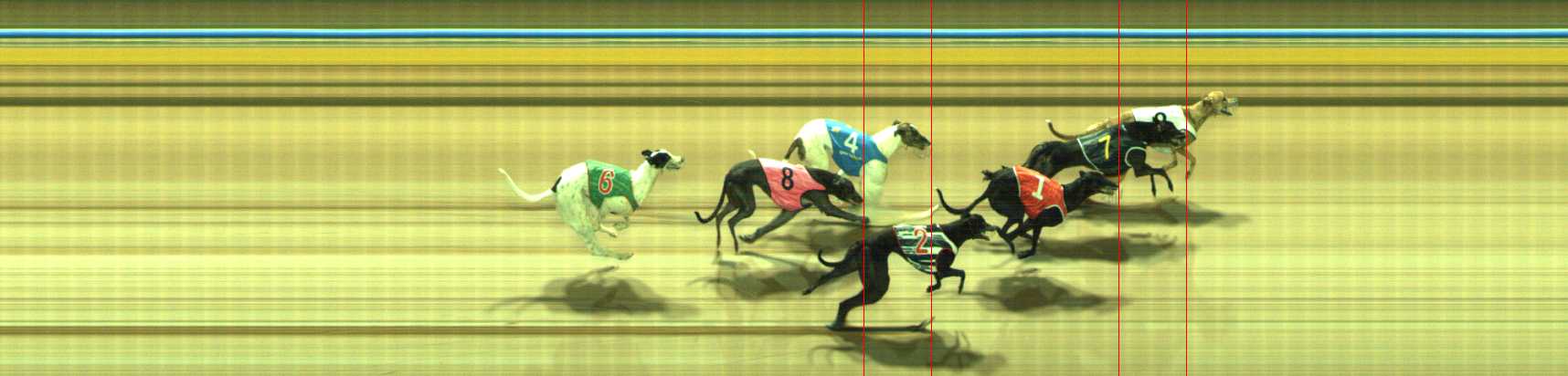 Photo finish for Traralgon Race 9