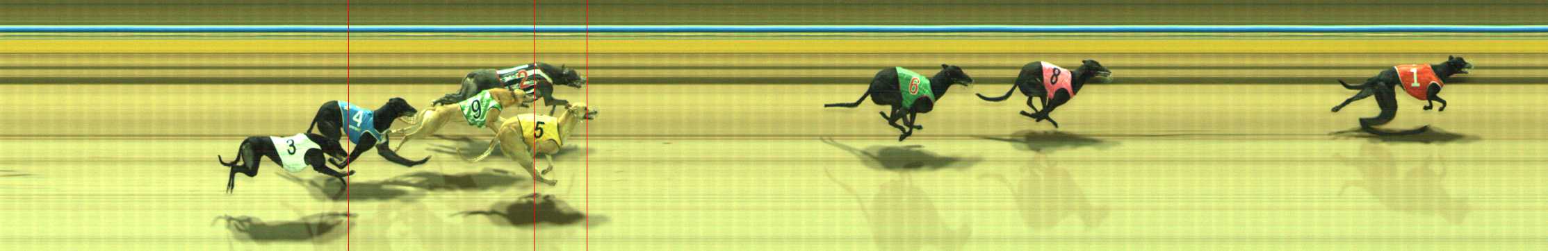 Photo finish for Traralgon Race 10