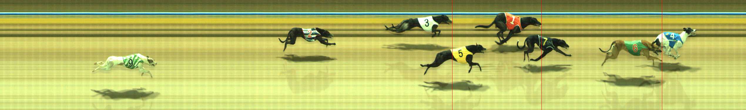 Photo finish for Traralgon Race 11