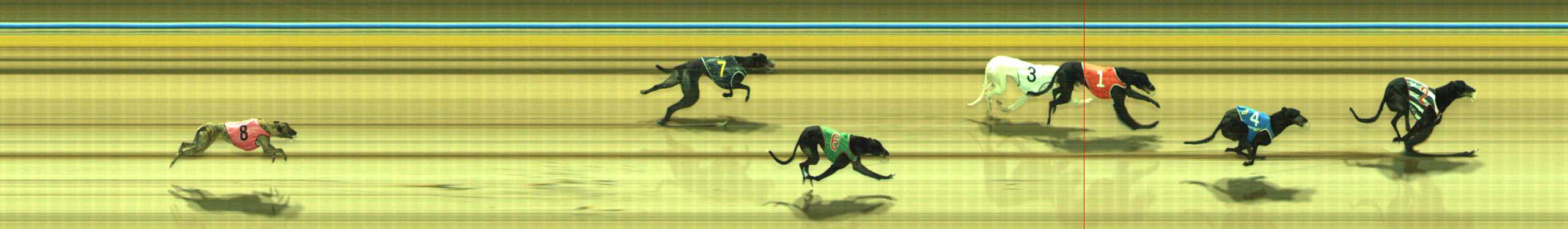 Photo finish for Traralgon Race 12