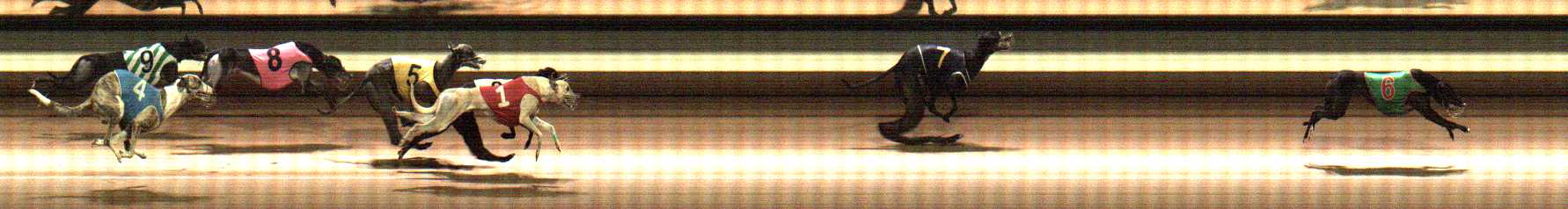 Photo finish for Warragul Race 8