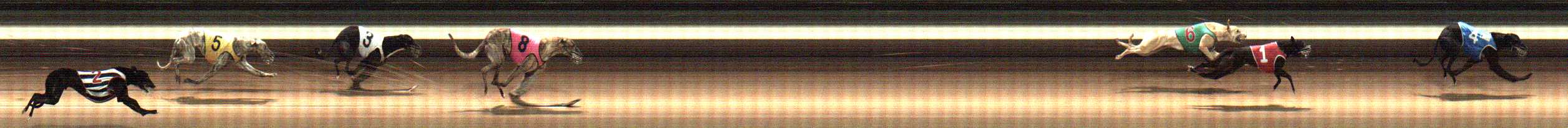 Photo finish for Warragul Race 1