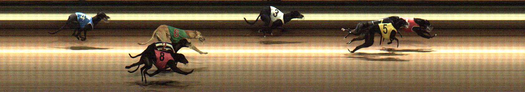 Photo finish for Warragul Race 2