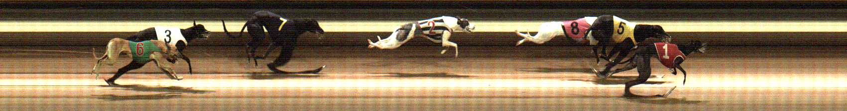Photo finish for Warragul Race 3