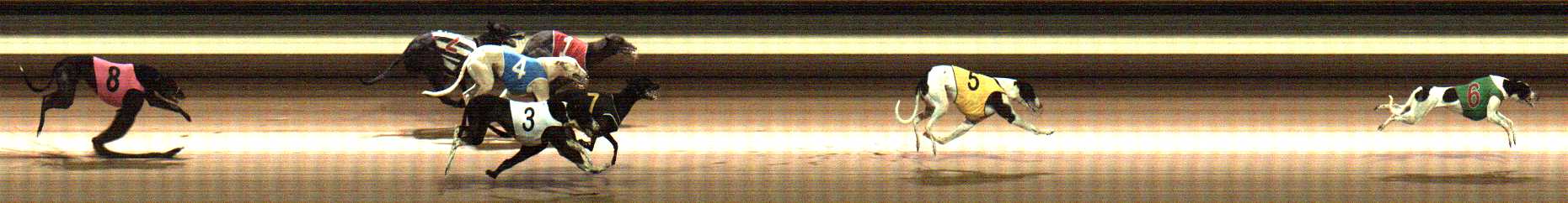 Photo finish for Warragul Race 4