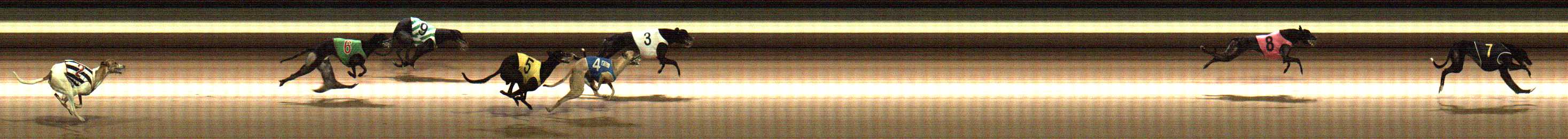 Photo finish for Warragul Race 5