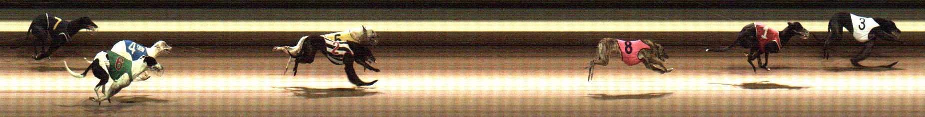 Photo finish for Warragul Race 6