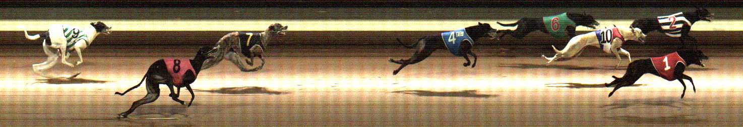 Photo finish for Warragul Race 7
