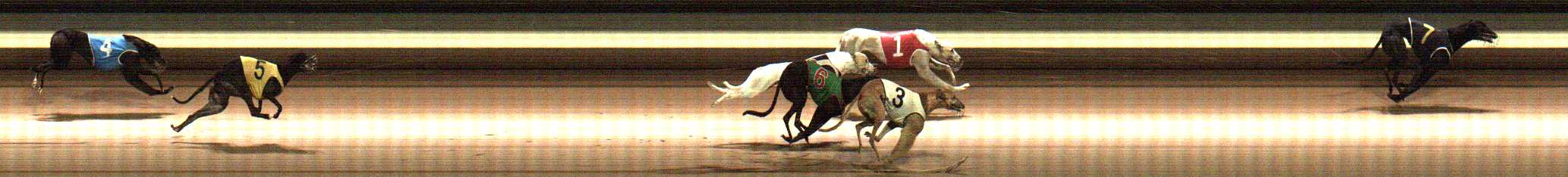 Photo finish for Warragul Race 9