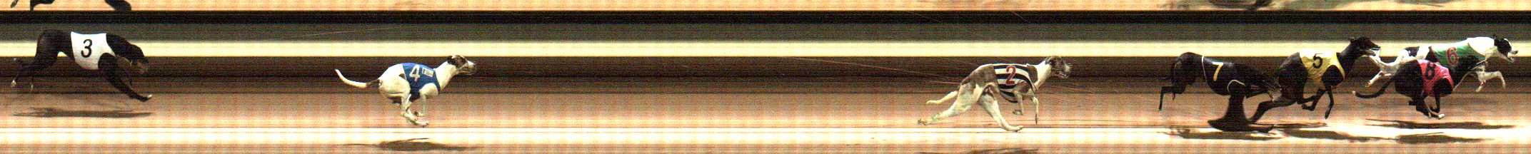 Photo finish for Warragul Race 10