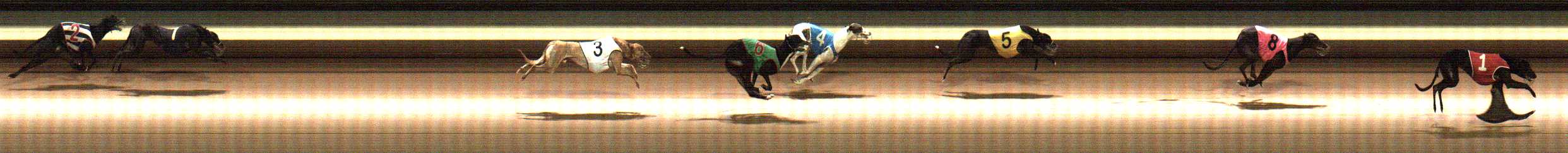 Photo finish for Warragul Race 11