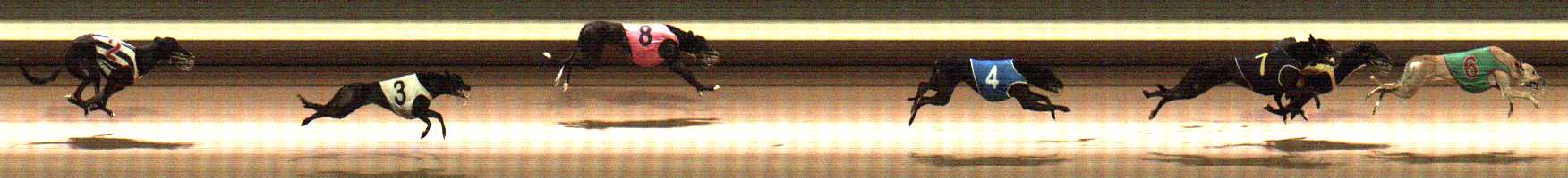 Photo finish for Warragul Race 12