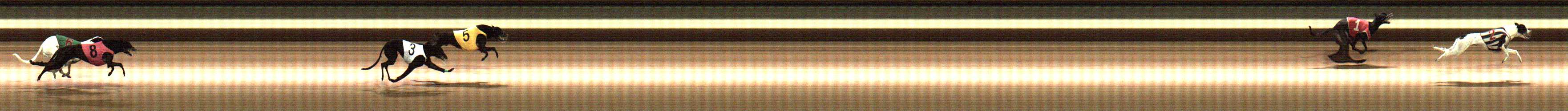 Photo finish for Warragul Race 1