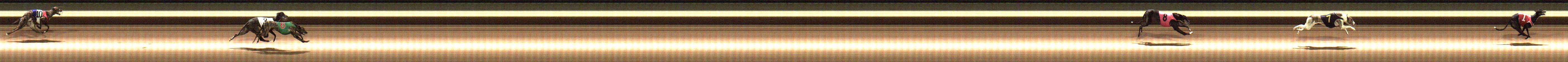 Photo finish for Warragul Race 2