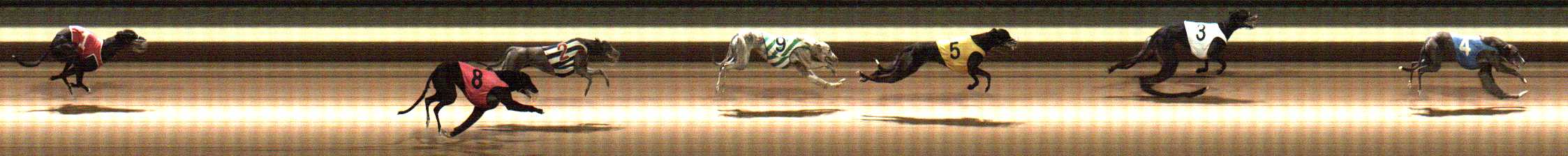 Photo finish for Warragul Race 3