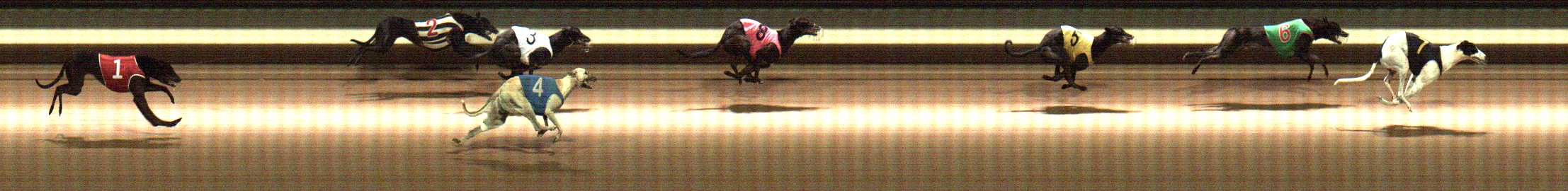 Photo finish for Warragul Race 4