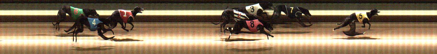 Photo finish for Warragul Race 5