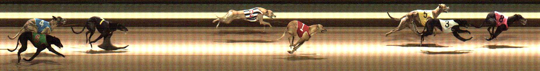 Photo finish for Warragul Race 6