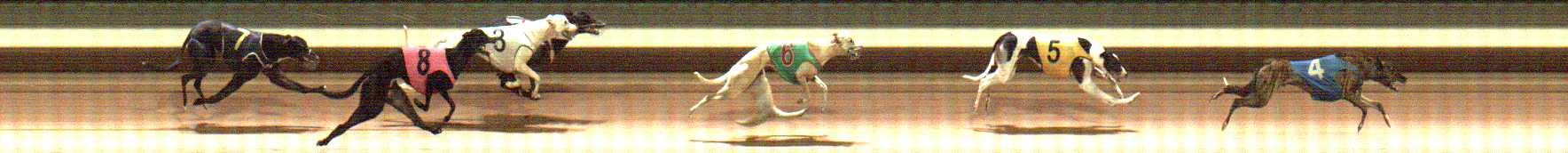 Photo finish for Warragul Race 7