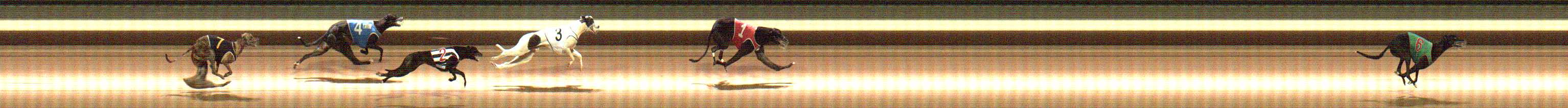 Photo finish for Warragul Race 8