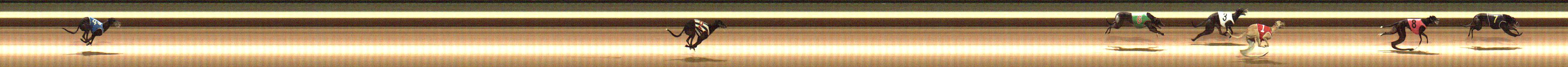 Photo finish for Warragul Race 9