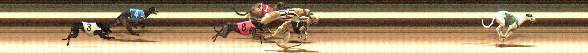 Photo finish for Warragul Race 10