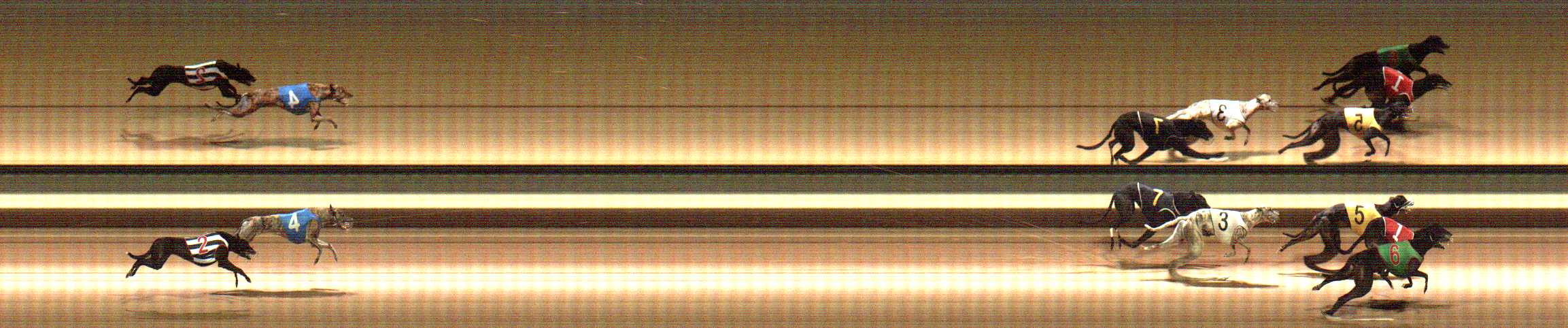 Photo finish for Warragul Race 12