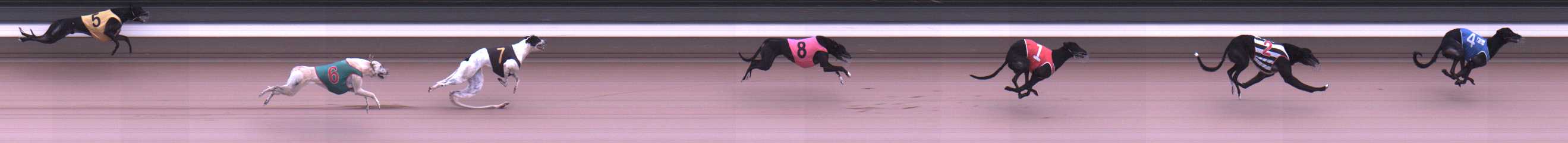Photo finish for Warragul Race 1