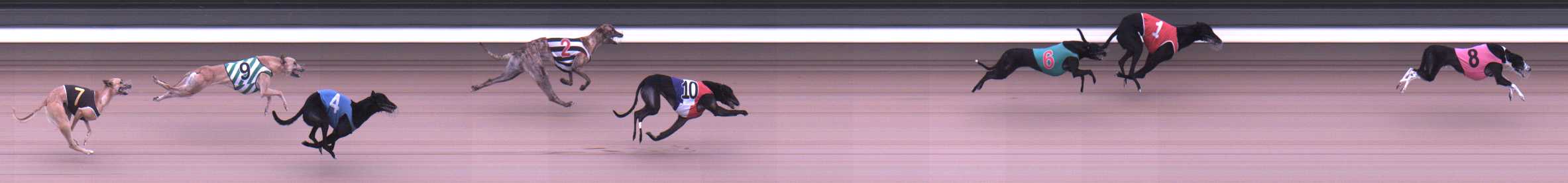 Photo finish for Warragul Race 2