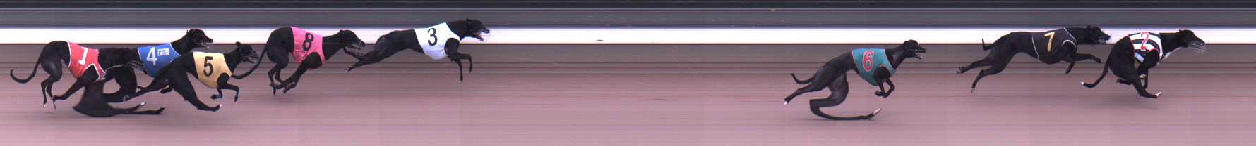 Photo finish for Warragul Race 3