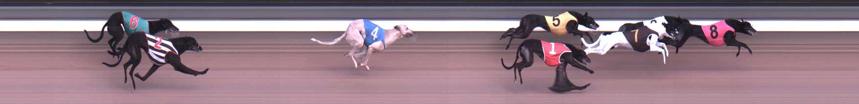 Photo finish for Warragul Race 4