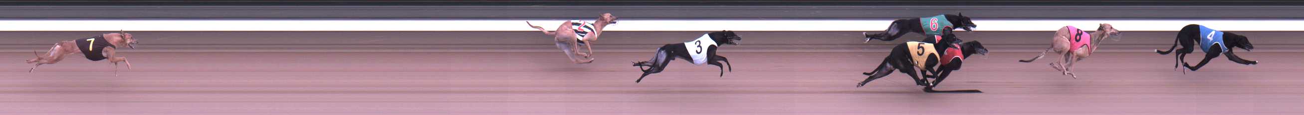 Photo finish for Warragul Race 5