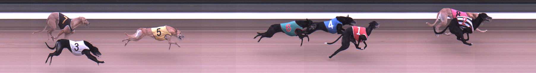 Photo finish for Warragul Race 6
