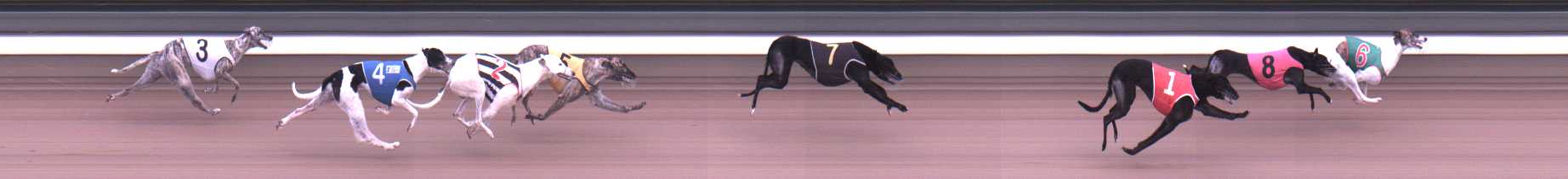 Photo finish for Warragul Race 7