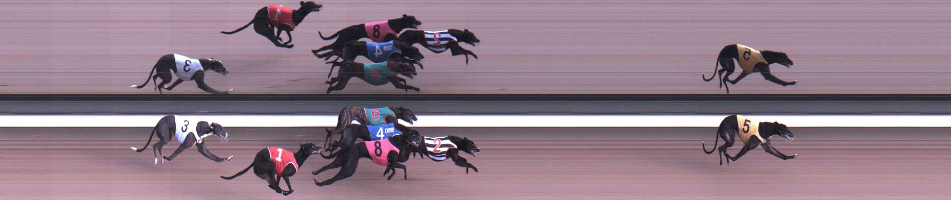 Photo finish for Warragul Race 8