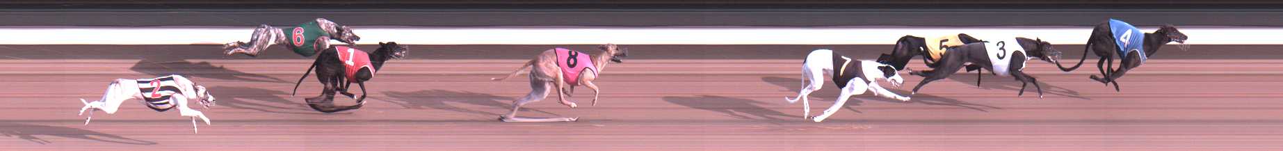 Photo finish for Warragul Race 9