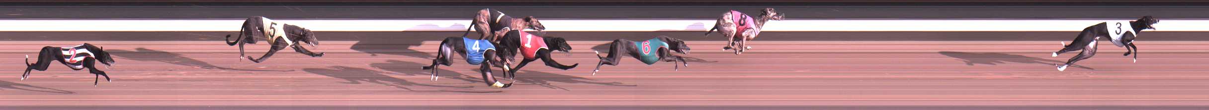 Photo finish for Warragul Race 10