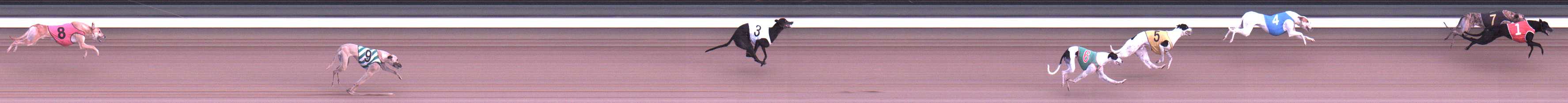 Photo finish for Warragul Race 11