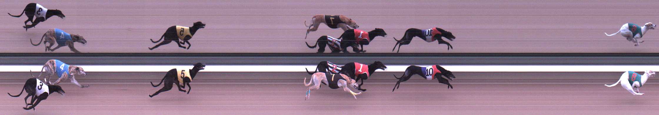 Photo finish for Warragul Race 12