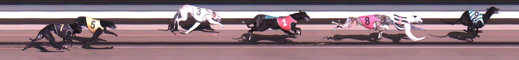 Photo finish for Warragul Race 1