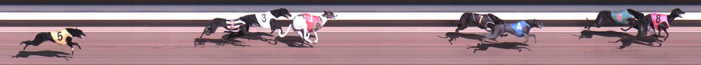 Photo finish for Warragul Race 2